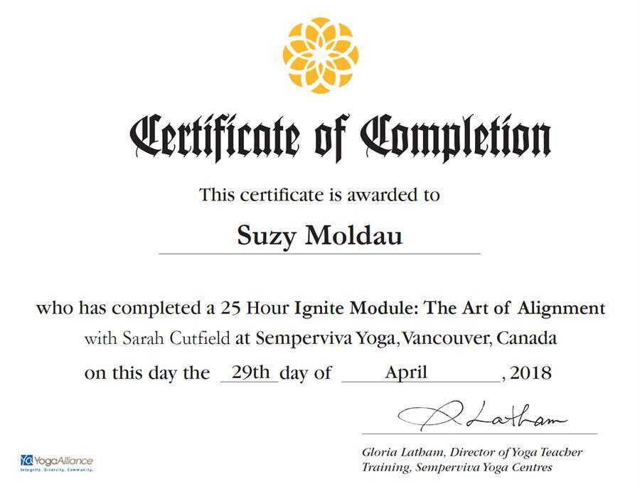 20200429 - Ignite Module 1 - The art of alignment.PNG